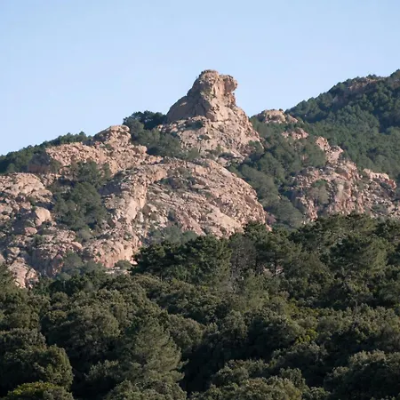 Διαμέρισμα A Stella Piana (Corsica)