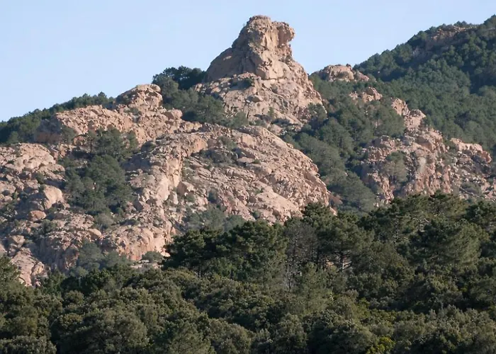 Apartamento A Stella Piana (Corsica)